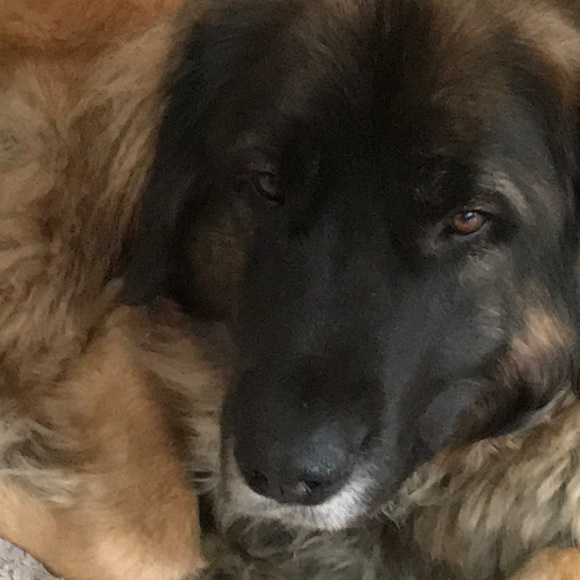 Meet your Posher, Kimberley - Picture 1 of 1